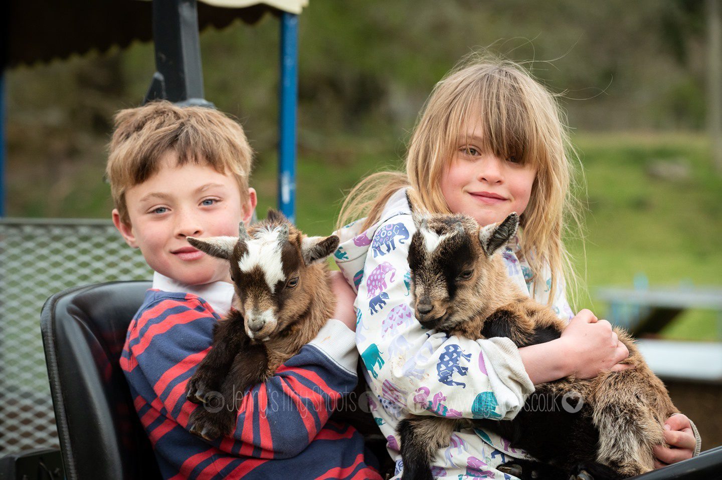 Twin photoshoot with baby goats