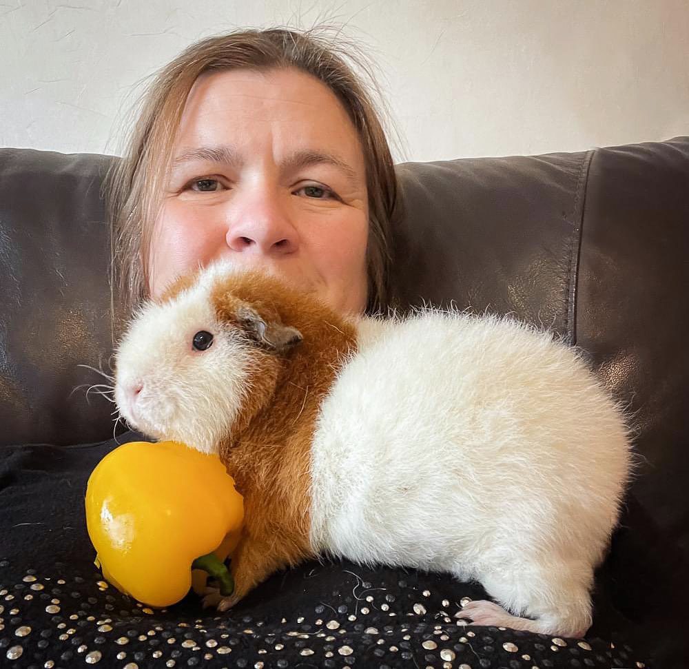Jenny and a giant guinea pig called crumpet
