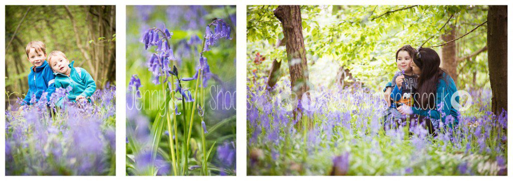 Bluebells are here! Family portraits in middlesex bluebell woods-media-3