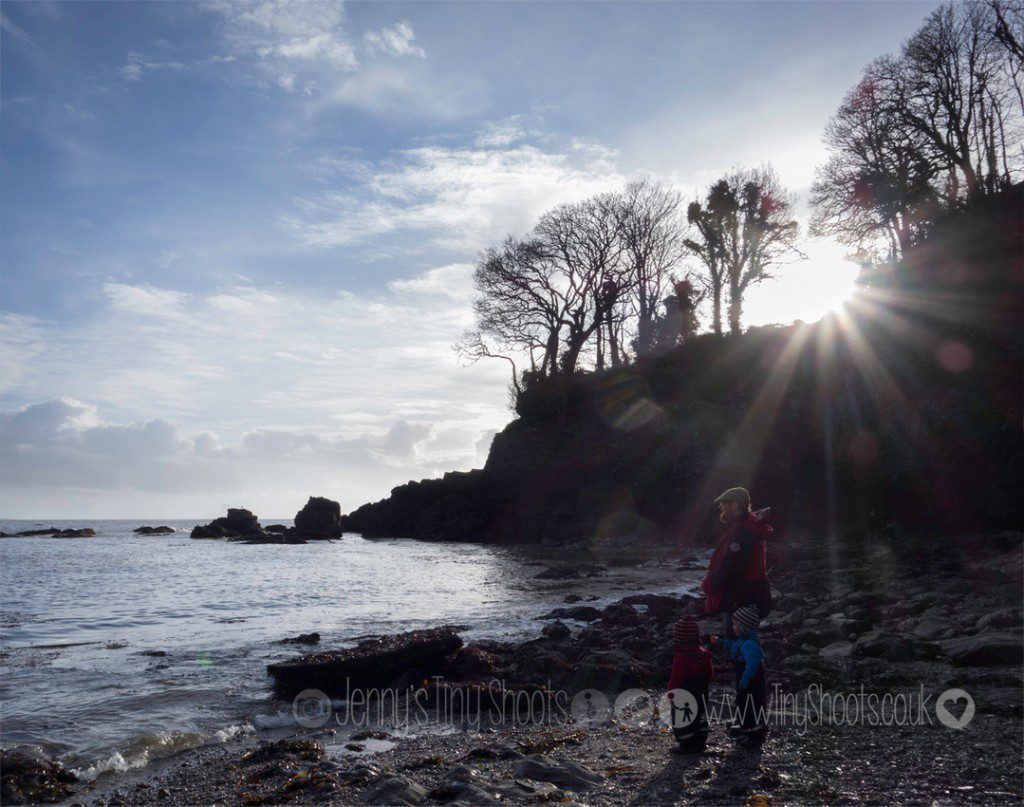 Photo of the month January 2014 - Backlit family on beach-media-1