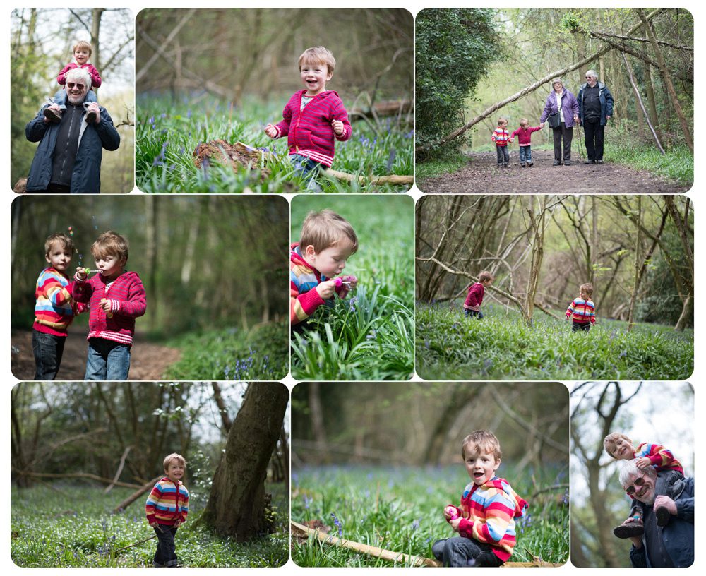 First spring bluebell family portraits-media-3