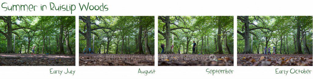Summer in Ruislip Woods - best season for photography?