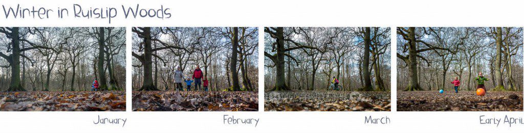 Winter in Ruislip Woods - best season for photography?