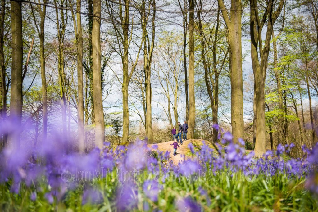 outdoor family photos Hampshire