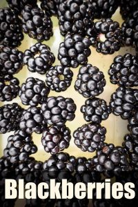 picked blackberries