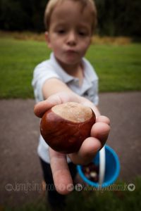 How many conkers can we collect?