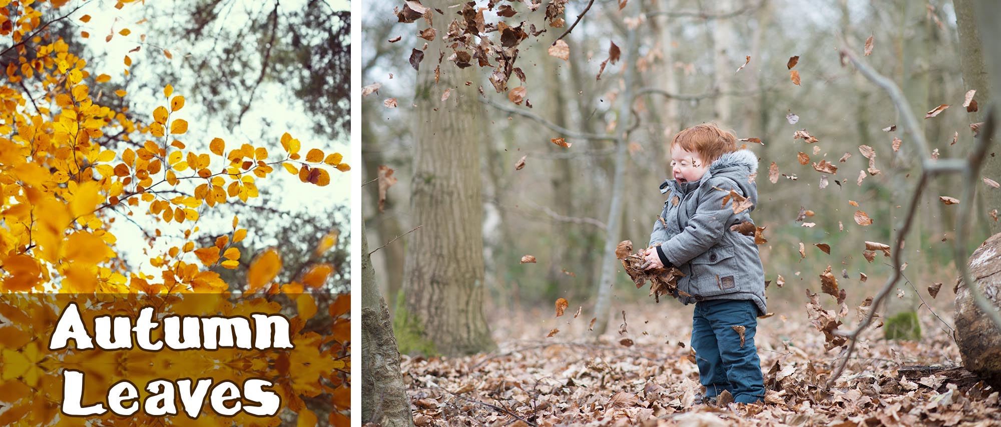 Child having October fun in Autumn Leaves 