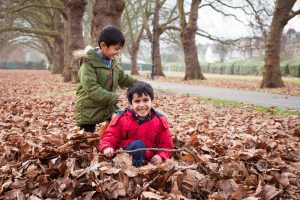 boys playing leaves