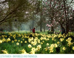 london spring family photos