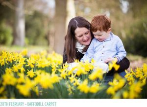 dafodill child photography