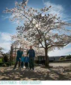 Spring family portrait with cherry blossom