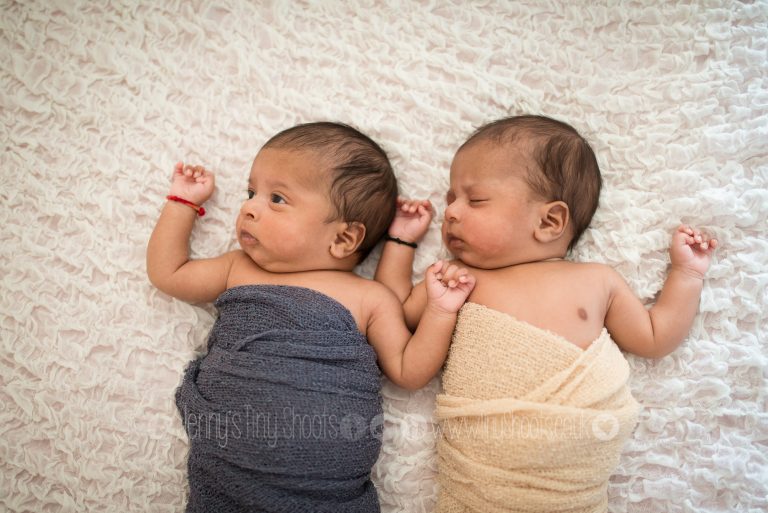 newborn twin portraits