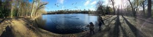 Black park panorama