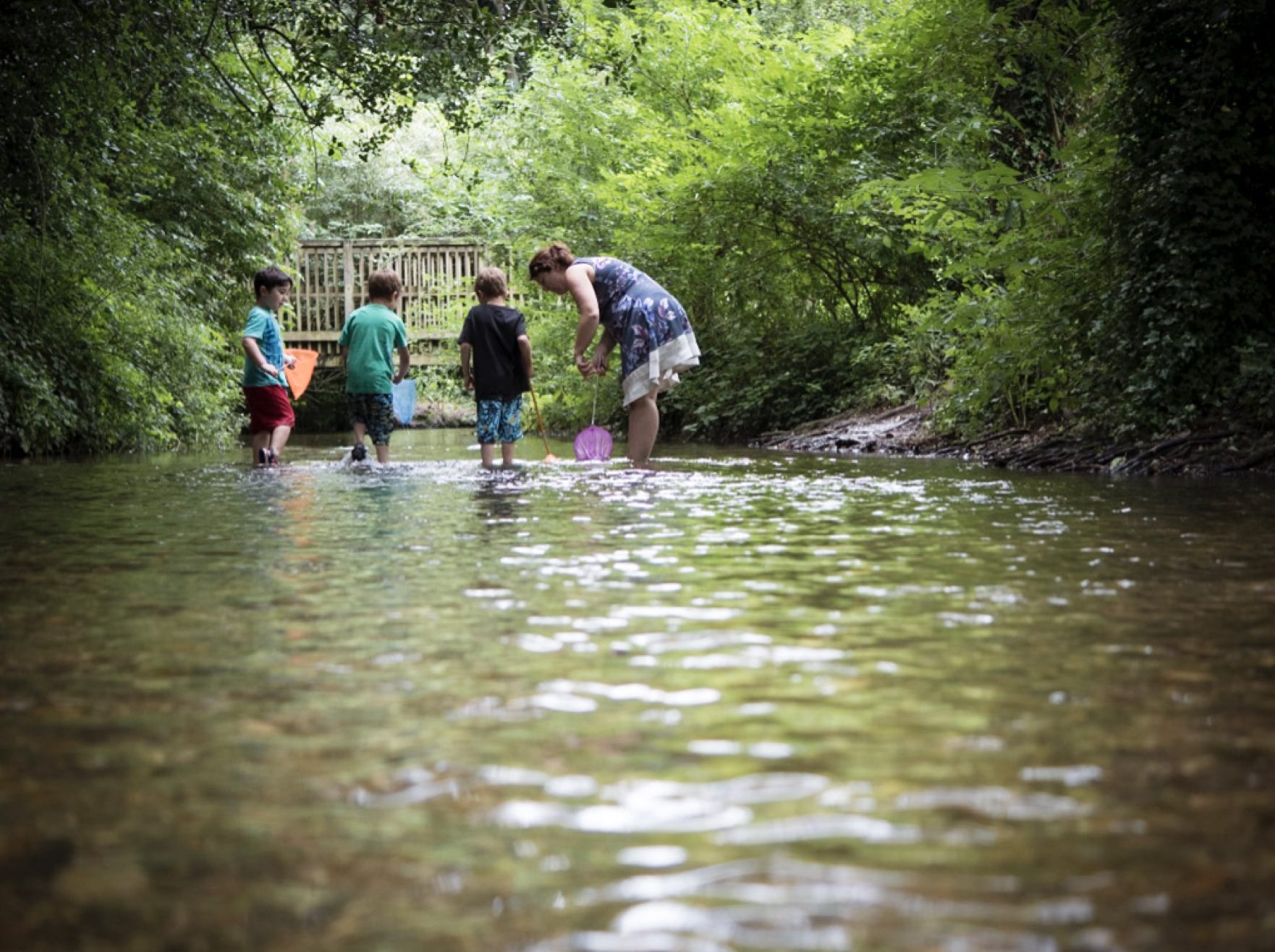 River dipping at Denham Park