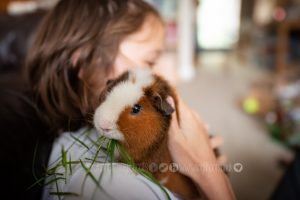 guinea pig with boy