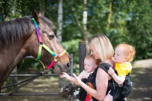 Babies and horse