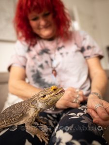 Bearded dragon smile