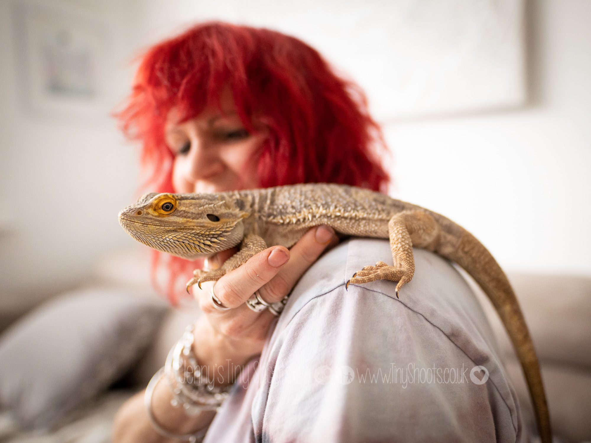 Bearded dragon on shoulder