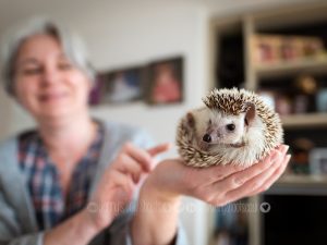 Pet photography at home