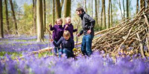 family photo in bluebells