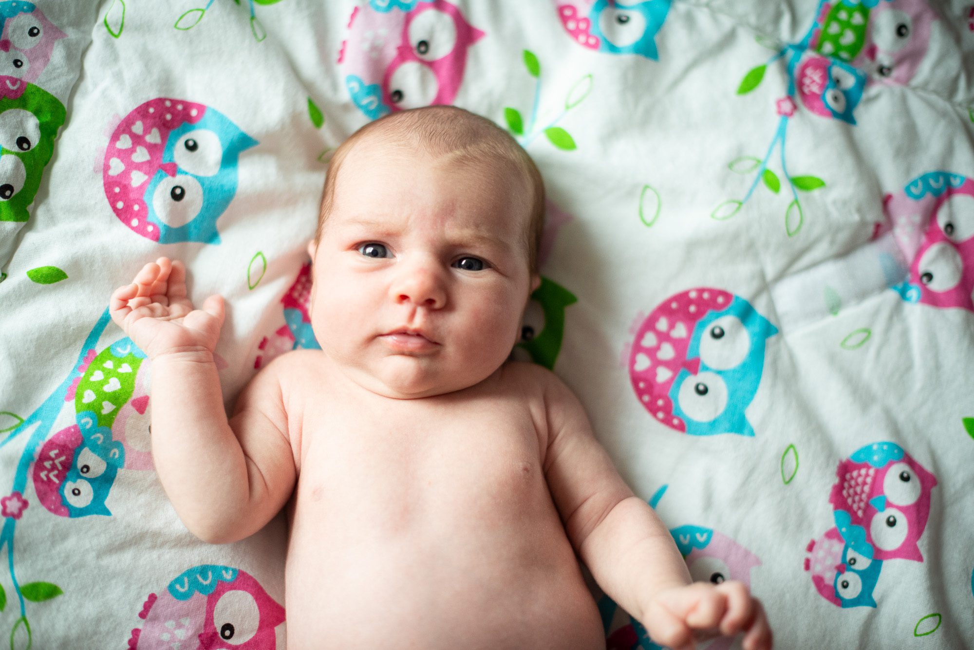 Newborn baby girl at home on a bright blanket, staring at camera