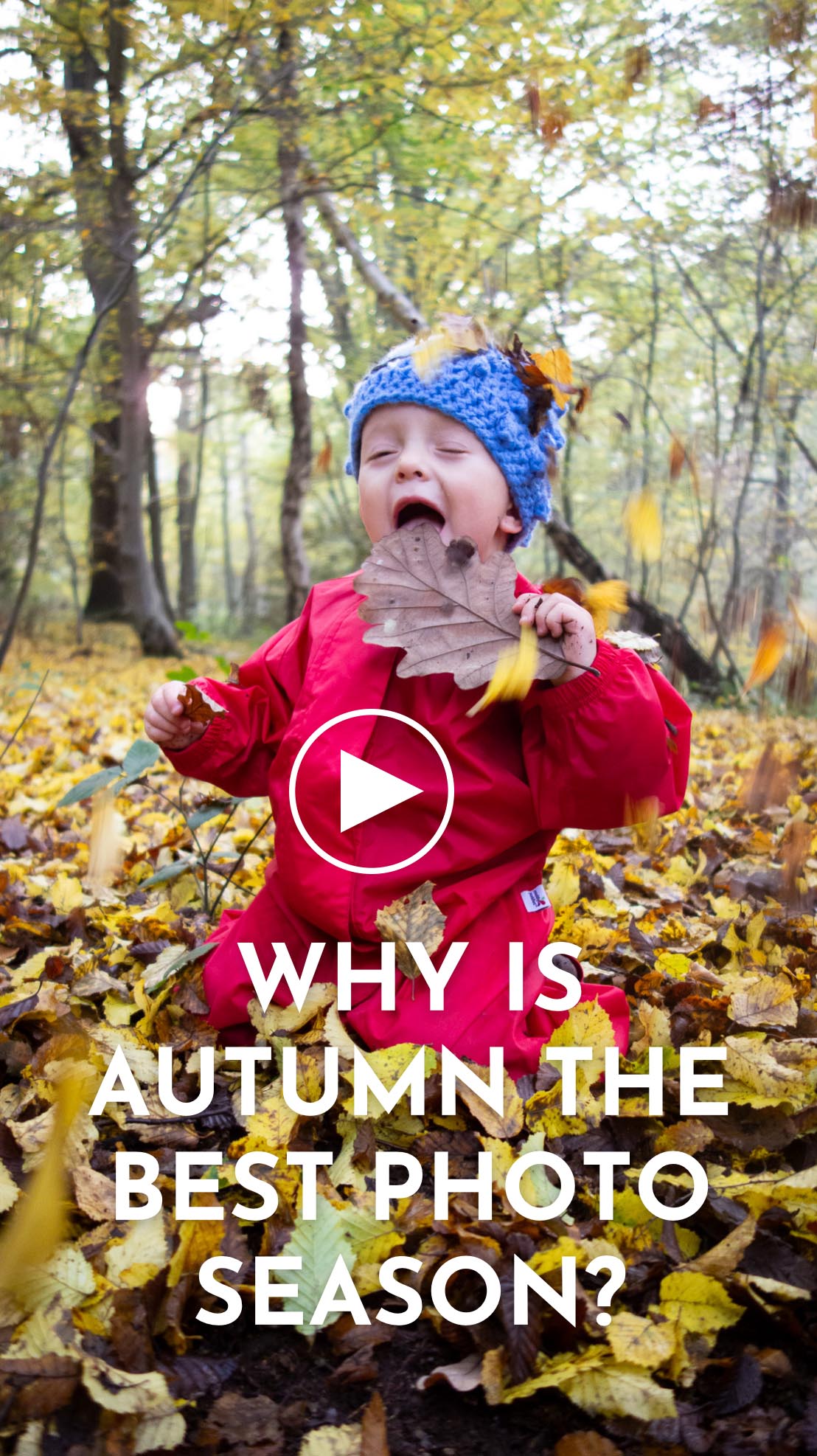 Autumn family photography of Baby playing in autumn leaves