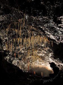 Beautiful back lit straw stalactites in cave