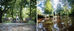Hollands wood campsite