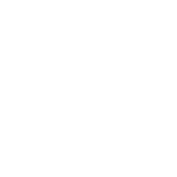 null alt