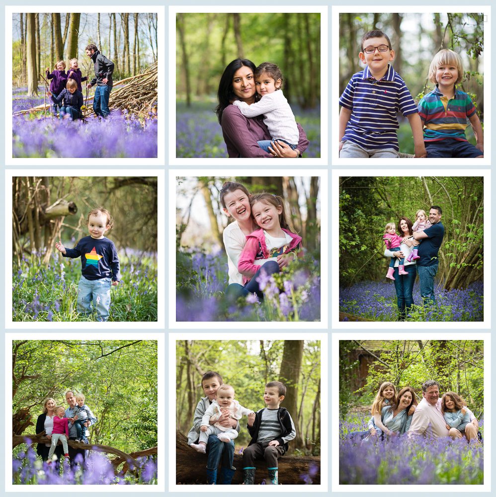 selection of bluebell family portrait images from photography mini sessions