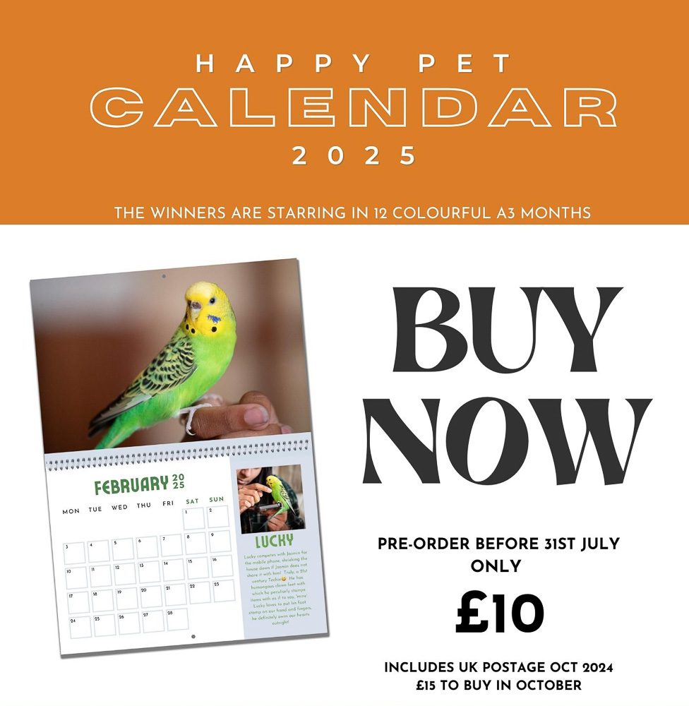 Buy Pet Calendar