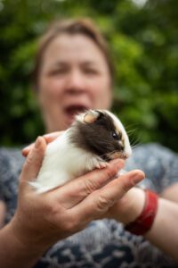 Baby guinea pig wants to eat my finger