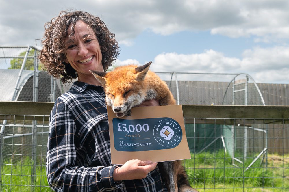 The founder of Pumkins Wildlife hospital., Ana, with the fox that started it all